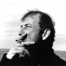 david